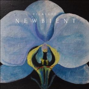 NewBient album cover
