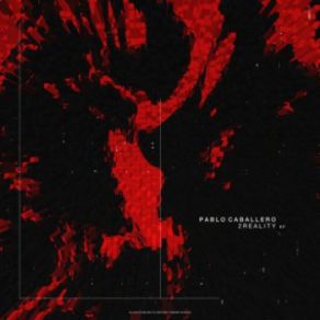 2Reality (Maxi-Single) album cover