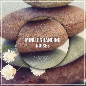 # 9 Mind Enhancing Noises For Meditation album cover