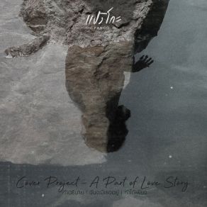 Cover Project: A Part Of Love Story album cover