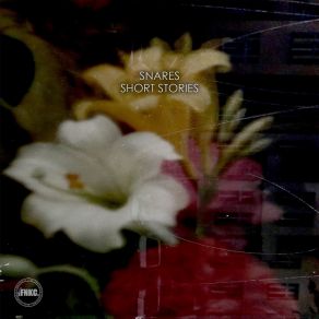 Aminosäure / Black Sands album cover