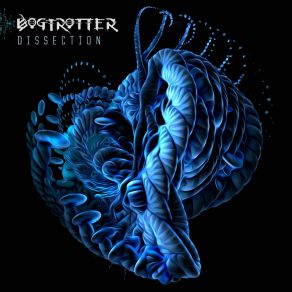 Dissection album cover