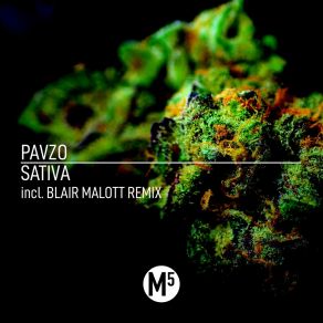Sativa album cover