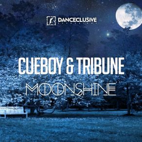 Moonshine album cover