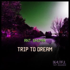 Trip To Dream album cover