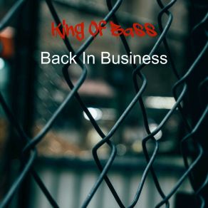 Back In Business album cover