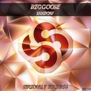 Shadow album cover
