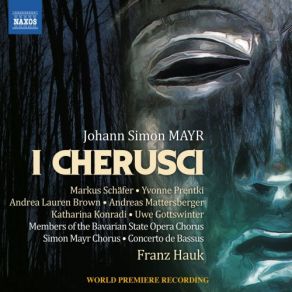 Mayr: I Cherusci album cover