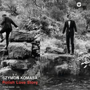 Polish Love Story album cover