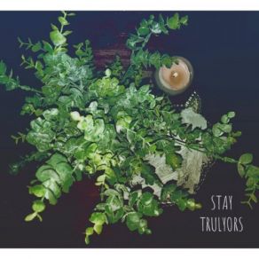 Stay album cover