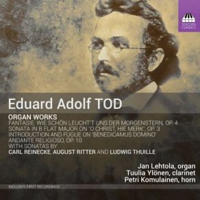 Tod, Reinecke, Thuille & Ritter: Organ Works album cover