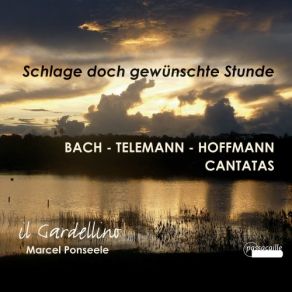 Bach, Telemann, Hoffmann: Cantatas album cover