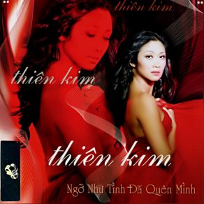 Ngo Nhu Tinh Da Quen Minh album cover