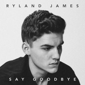 Say Goodbye album cover