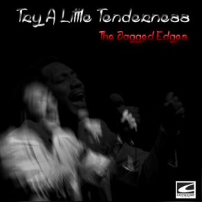 Try A Little Tenderness album cover