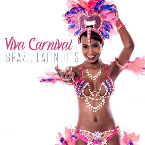 Viva Carnival: Brazil Latin Hits, Electro Brazil Lounge, Hot Party In Rio, Dancing Drums album cover