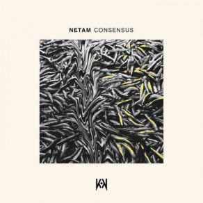 Consensus album cover