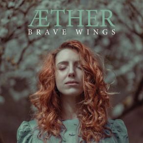 Brave Wings album cover