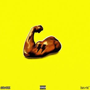 Big Havin' album cover