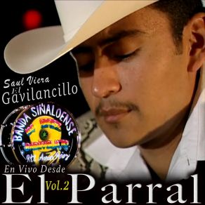 En Vivo Desde El Parral Vol. 2 album cover