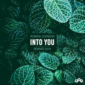 Into You (Remixes 2019) album cover