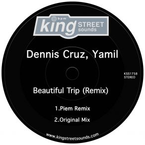 Beautiful Trip (Remix) album cover