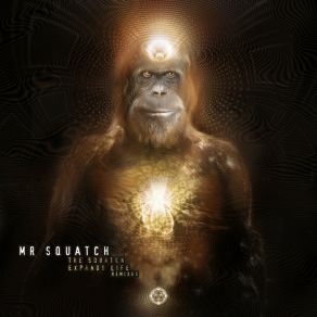 The Squatch Expands Life Remixes album cover
