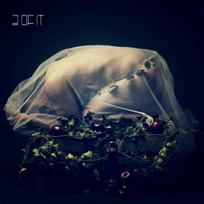 2 Of It album cover
