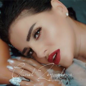 Bir Adam Var album cover