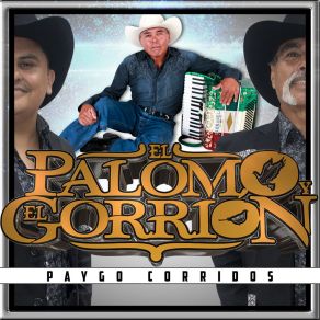 Paygo Corridos album cover