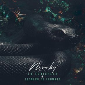 Murky album cover