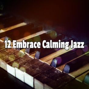 12 Embrace Calming Jazz album cover