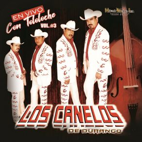 En Vivo Con Tololoche, Vol. 3 album cover