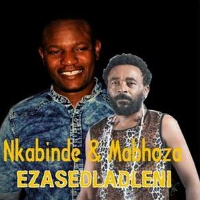 Ezasedldleni album cover