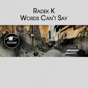 Words Can't Say album cover