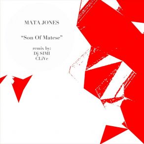Son Of Matese album cover