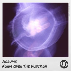 Form Over The Function album cover