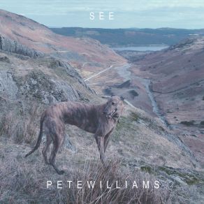 See album cover