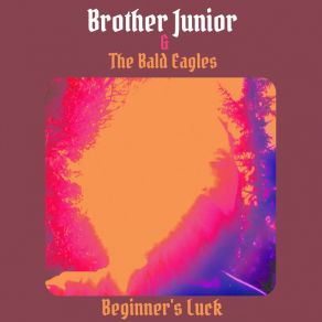Beginner's Luck album cover