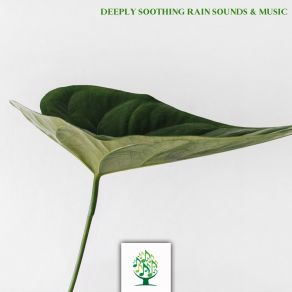 Deeply Soothing Rain Sounds & Music album cover