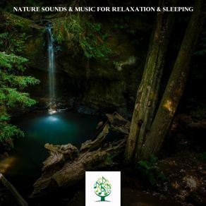 Nature Sounds & Music For Relaxation & Sleeping album cover
