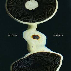 Forsaken album cover