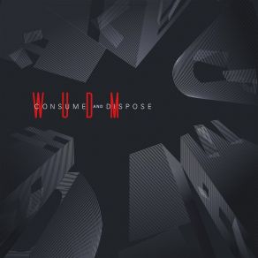 Consume And Dispose album cover