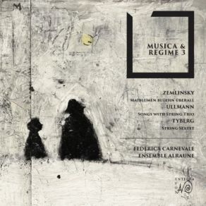 Musica & Regime 3 album cover