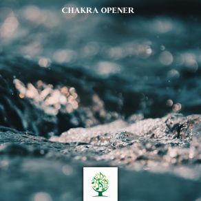 Chakra Opener album cover