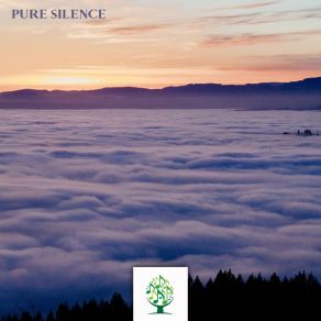 Pure Silence album cover