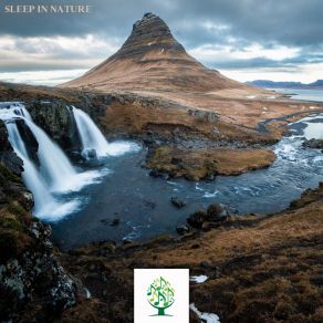 Sleep In Nature album cover