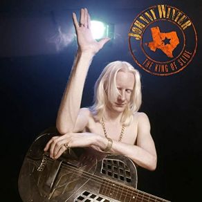 The King Of Slide album cover