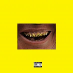 WUTD + Vultures album cover
