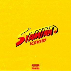 Stamina album cover